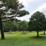 [드루와] 본진 나이먹고 늙었다고