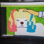 [갱얼쥐] 강아지 할리퀸 염색해줌