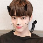 니네 마이틴 아냐????