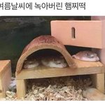 [NCT] 이거 ㄹㅇ 박지성