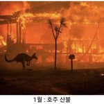 2020년 <b>요약</b>