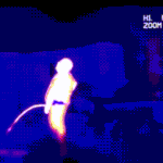 국민 신문고 익명성 보장되는거 맞음?