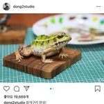 [<b>하트</b>시그널] 정의동 거짓말 개구리 30만원