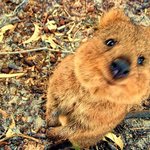 [댓글부탁해] <b>노랑색</b> 반팔 귀여운 거 뭐 있냐