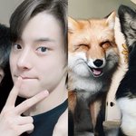 아이랜드 얘네 졸<b>귀임</b>