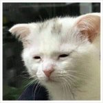 [댓글부탁해] <b>실수</b>로 친구를 쳤는데