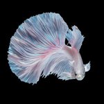 [드루와] 얘들아 너네는 너네 친구가 <b>adhd</b>면 어때