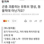 의외로 동물<b>학대</b>인 행동..jpg