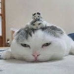 [19] 이거 오바일거같음??