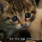 [댓글부탁해] 얘들아 아이폰 x ㄱㅊ하냐