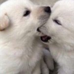 [댓글부탁해] 자기 폰 <b>기종</b> 말하구 가자