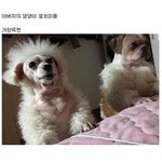 나같은 얼굴형 있냐