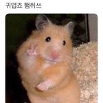 얘들아 푸라<b>닭</b> vs <b>엽</b>떡
