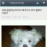 [드루와] 아니 근데 <b>심즈</b> ㅋㅋ