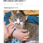 애들이 내 노래취향 <b>비웃음</b>..