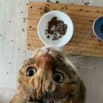 후풍풍.