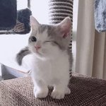 [19] 내가 만난 <b>ENFJ</b> 남자 vs ENTP 남자