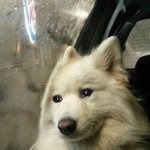 [드루와] 나 진짜 3년<b>전쯤</b>에 본 존잘남 아직도 못 잃는다..