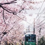 <b>화사</b>하고 따뜻한 봄의 분위기들. 계절별 분위기