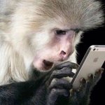 [19] 오랜만에 동영상 한판 <b>때림</b>