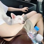 [드루와] <b>떡밥</b> 많은 그룹들 신기함