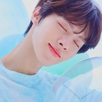 이정도면 인간포카리 아님?