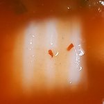 내저녁<b>이얌</b>.