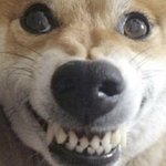 [댓글부탁해] 너넨 본진이 이런 <b>폭탄</b> 발언 하면 어떡할거임?