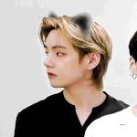 <b>태</b>냥이
