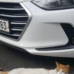 [댓글부탁해] 안녕이란말~