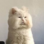 [댓글부탁해] 얘들아 나 아이폰.이거 사말아