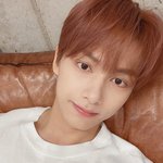 [세븐틴] <b>캐럿</b>들