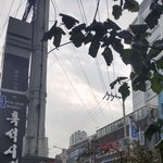 [드루와] 리하 리연 <b>리안</b> 리율 리인