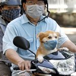 [19] 그럼 남자애 <b>뒷목</b>에 뽀뽀 한다?