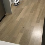 ㅅㅂ 야 여 야 야 야<b>유양</b> 양 야 어케마가 __