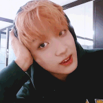 동혁아 잘 <b>사니</b>?