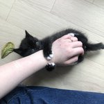 [드루와] 흐<b>이잉</b> 귀여워