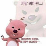 [드루와] 대학생인데 입시 궁금한 거 있는 사람