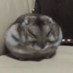 [댓글부탁해] 영화 워터 <b>릴리스</b> 본 사람 있어?