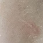 [19] 이거 뭐야?