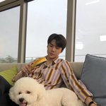 저 강아지 <b>비비</b>맞아?