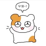 [드루와] 한살 어린애들이랑 다니는거 괜찮아?