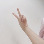 아날로그 웨딩이랑 개똑같은 <b>필터</b> 찾음