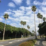제주도에서 찍은 사진 올려<b>보자</b>!