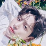 구정모개<b>청량</b>해