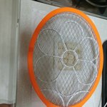 [이것좀봐줘] 독거청년 초파리 이야기