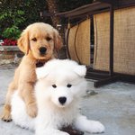 [드루와] 나 내일 생일인데 혼자 있는다