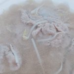 시즈니<b>이이</b><b>이이이</b>