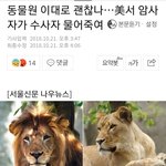 [19] 와 <b>조카</b> 웃긴 짤 봄 ㅋㅋㅋㅋㅋㅋㅋㅋㅋㅋㅋㅋㅋㅋㅋㅋ