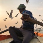 <b>오롯</b>이 폰으로만 찍은 사진 작품